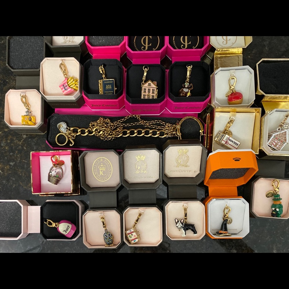 Juicy Couture charm bracelet, necklace & charms